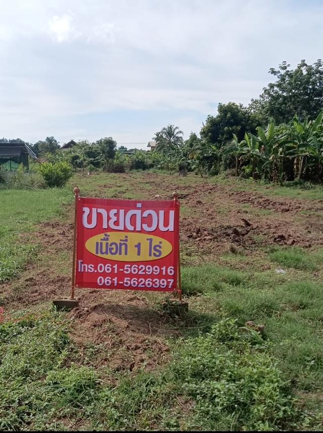 ขายด่วนที่ดิน 1 ไร่