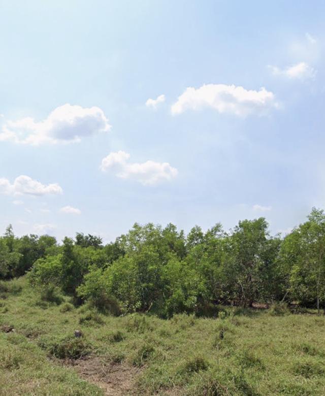 ที่ดินเปล่าหนองจอก1ไร่ 4