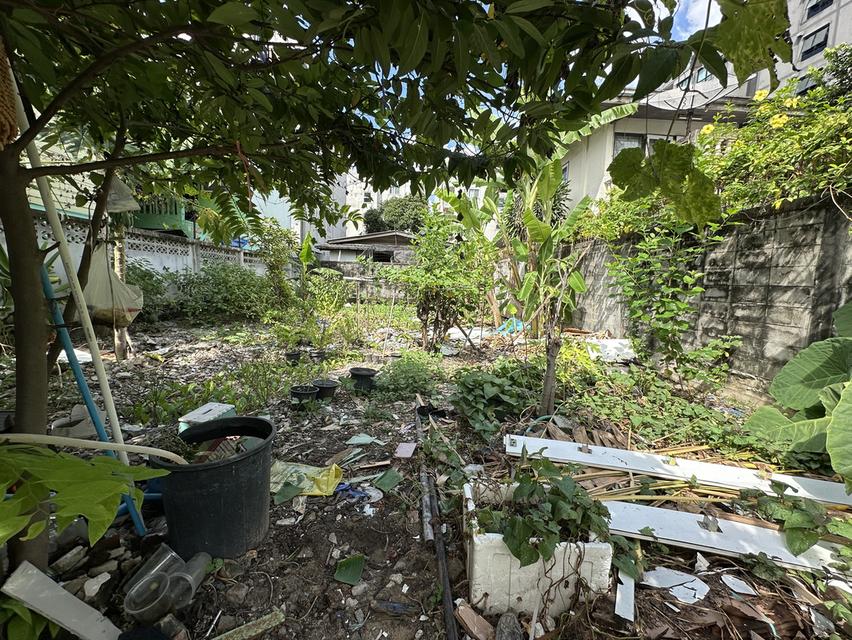 🌟ขายที่ดิน แปลงสวย ถมแล้ว 50 ตารางวา ทำเลดี ซอยลาซาล 28 (ชุมชนทิมเรืองเวช)🌟 4