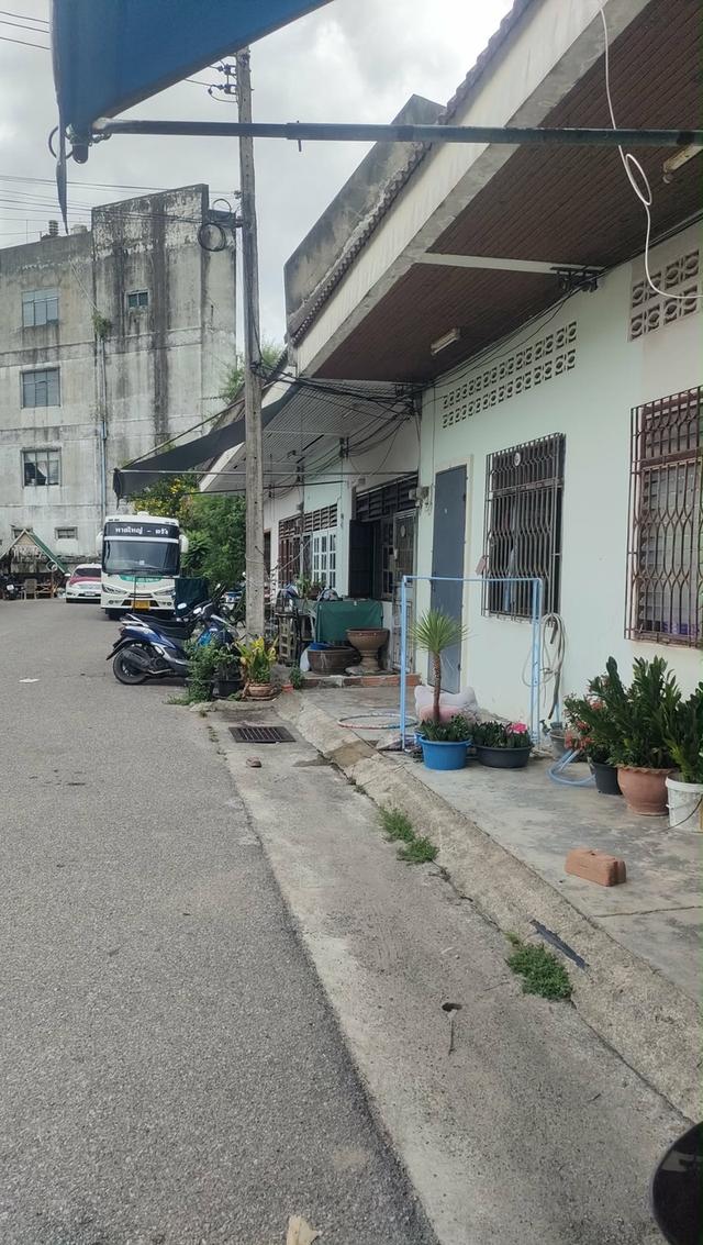 ขายที่ดินหาดใหญ่ใจกลางเมือง 4