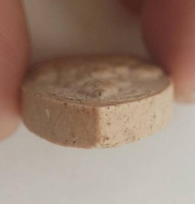 หลวงปู่ทวดเตารีดใหญ่ หลังยันต์ ปี พ.ศ 2413 5