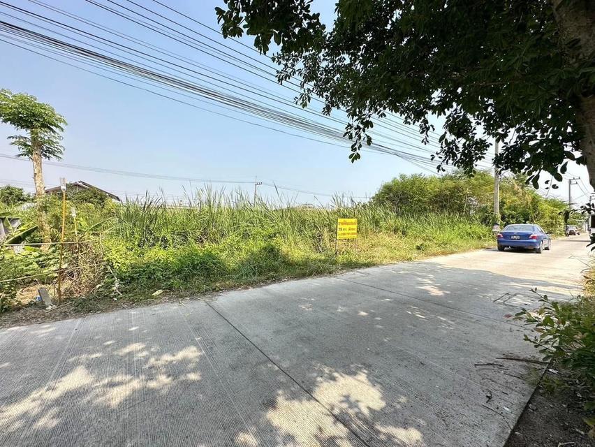 ขายที่ดินต้นซอยบงกช 43 ซอยบงกช 43 ถนนเลียบคลอง 2 ต.คลองหลวง อ.คลองหลวง จ.ปทุมธานี  5