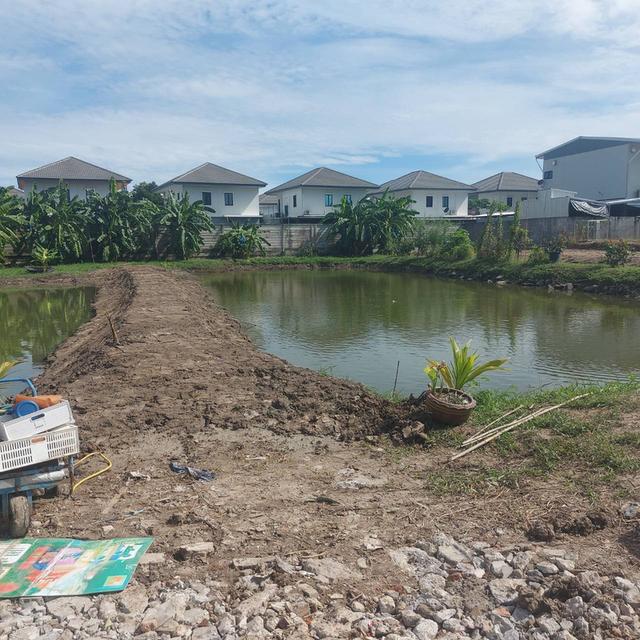 ที่ดินเปล่า​2ไร่215ตารางวา 8