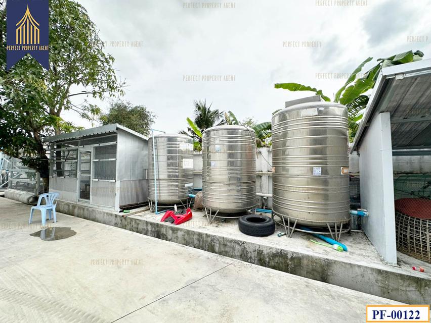 ขาย โรงงานโกดัง มีใบอนุญาติ ลาดกระบัง ฉลองกรุง 15