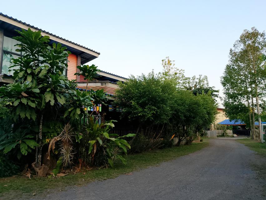 บ้านพร้อมที่ดินขนาด1ไร่ 37ตรว บ้าน4ก้องนอน4ห้องน้ำ พื้นทีจอดรถได้หลายคัน พร้อมทั้งสวนผลไม้ 7