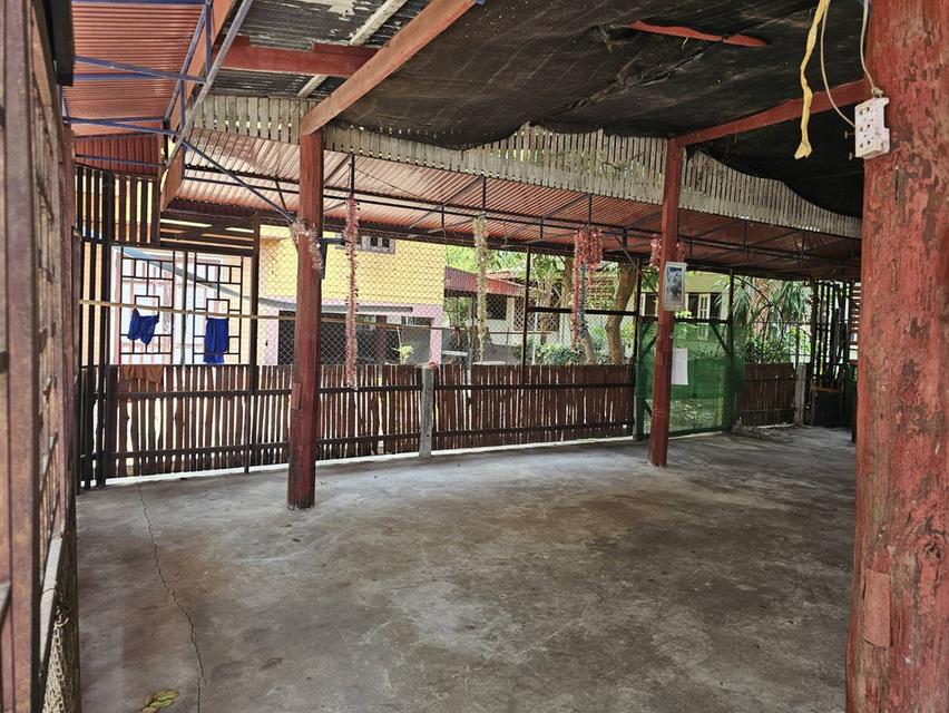 บ้านพร้อมที่ดินใจกลางเมืองหนองคาย 15