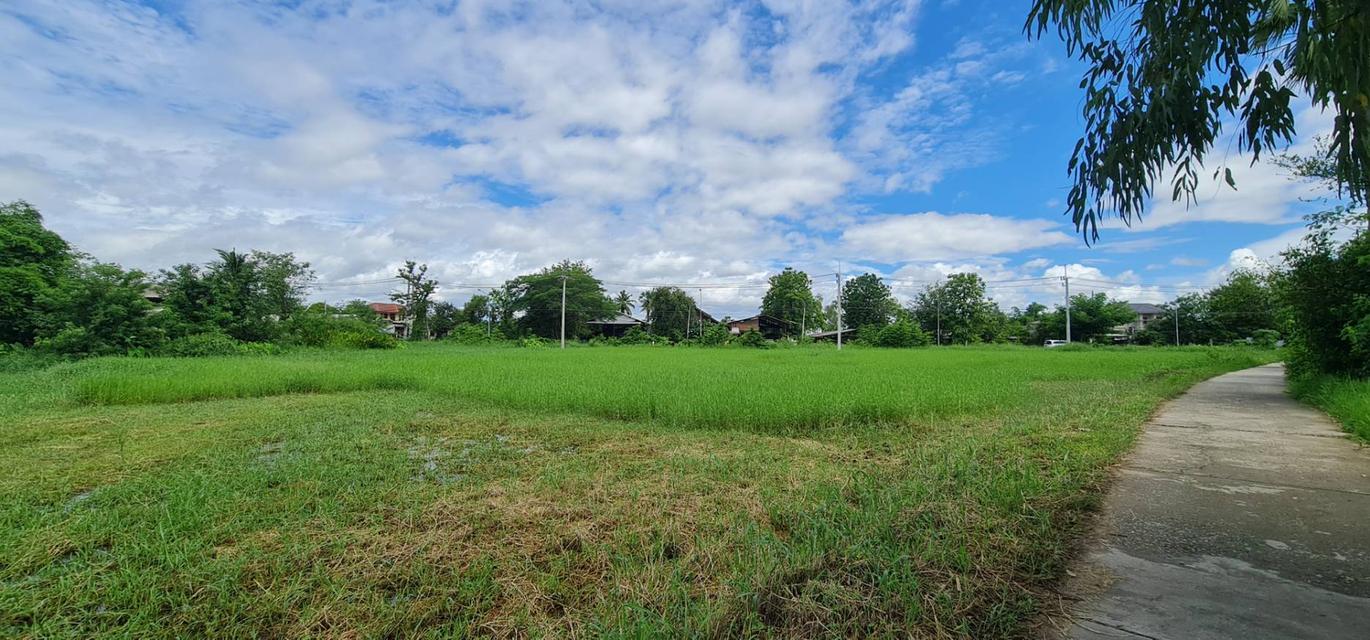 ที่ดิน  แปลงหัวมุม อ.บ้านธิ จ.ลำพูน 11