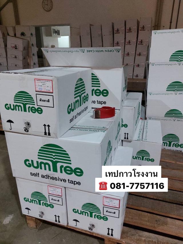 เทปใส โรงงานขายเทปใสหน้าเล็ก 081-7757116