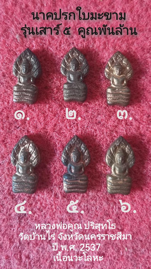 พระนาคปรกใบมะขาม รุ่น "เสาร์ ๕ คูณพันล้าน" ปี พ.ศ.๒๕๓๗
