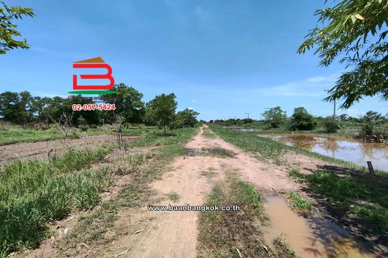 ที่ดิน เนื้อที่ 150 ตร.ว. คลอง 22 ศีรษะกระบือ ใกล้วัดราษฏร์ศรัทธาธรรม ถนนลำลูกกา ตำบลศีรษะกระบือ อำเภอองครักษ์ นครนายก 4