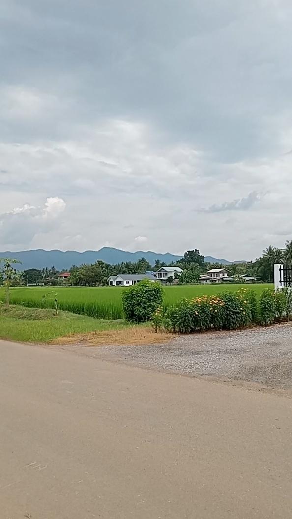 บ้านพร้อมที่ดิน 2 ไร่ 2 งาน 17 ตรว. 13