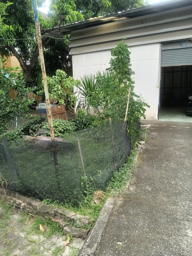 ที่ดินเปล่า 109 ตรว ใกล้ BTS สายหยุด ในซอยพหลโยธิน 48 แยก 5 5