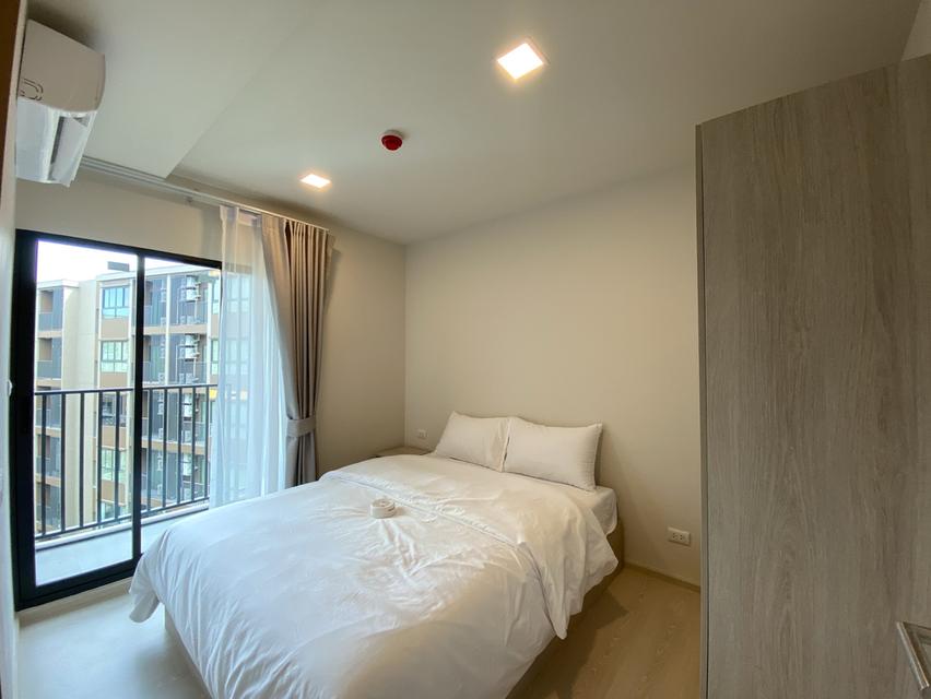 ปล่อยเช่า Dcondo Calm 13