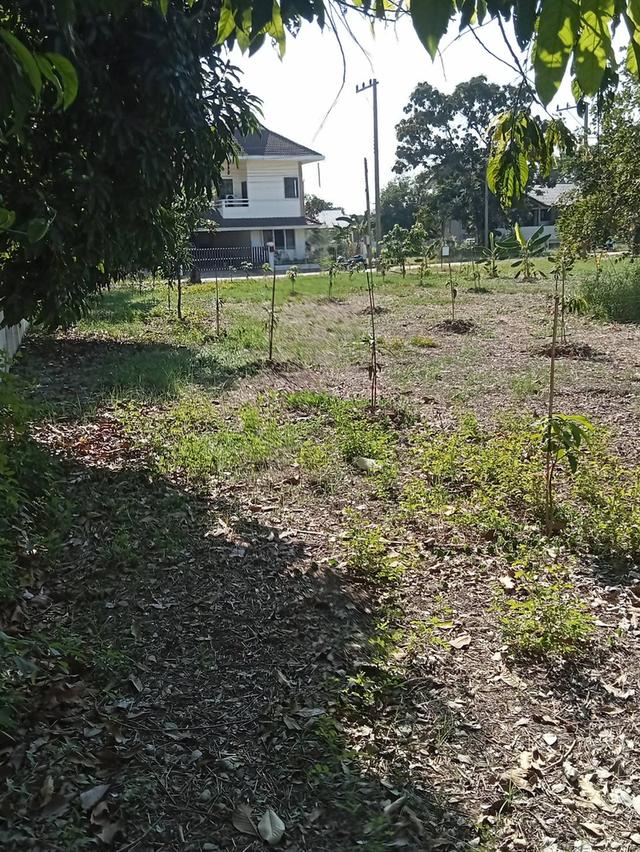 ขายที่ดินเปล่า 235 ตรว.ติดทะเลสาบ อยู่ในโครงการหมู่บ้านเดอะลากูน 1 ปทุมธานี 10