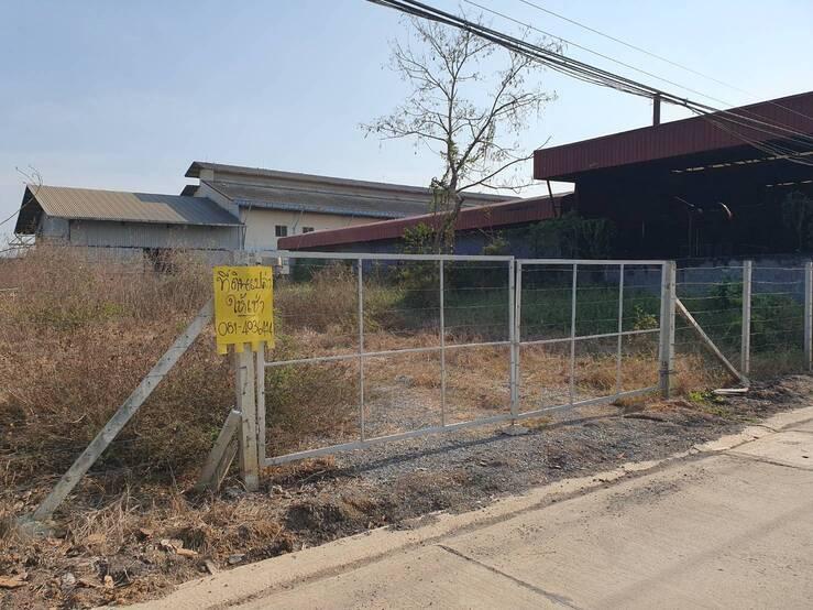 ที่ดินเปล่าให้เช่า บนถนนลำลูกกาคลอง 7 (ให้เช่าระยะสั้นและยาว จะแบ่งเช่าก็ได้) ค่าเช่าตกลงกันได้ 2