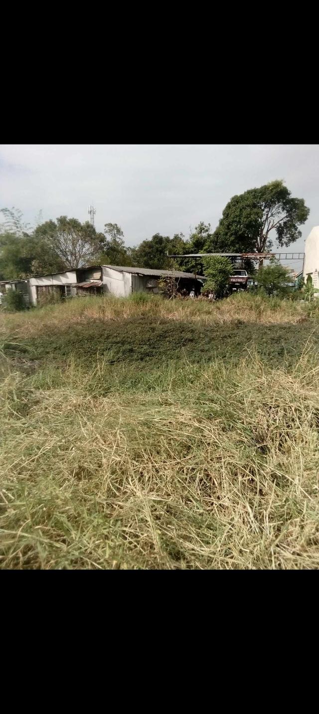 ขายที่ดินย่านมีนบุรี 2