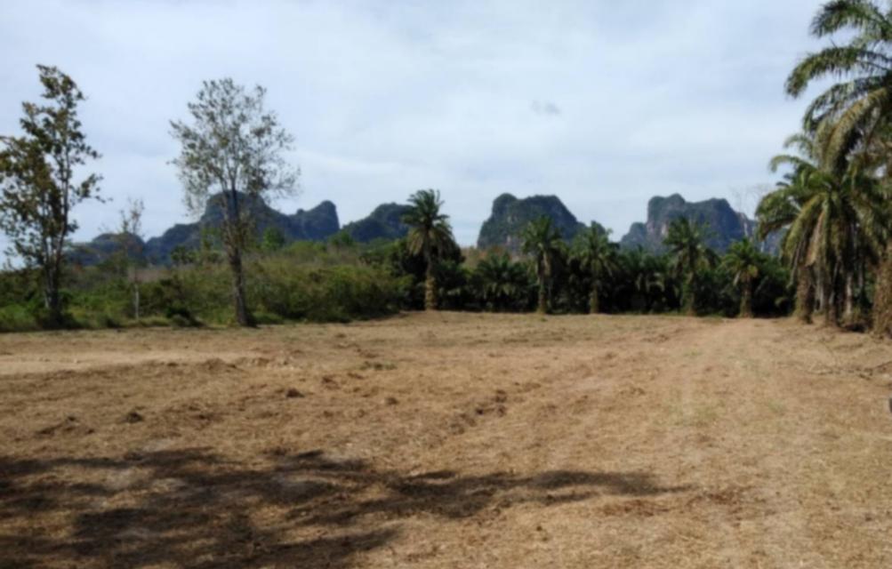 ขายที่ดินวิวสวยโซนอ่าวนาง Land for sale near Aonang,Krabi Thailand 2