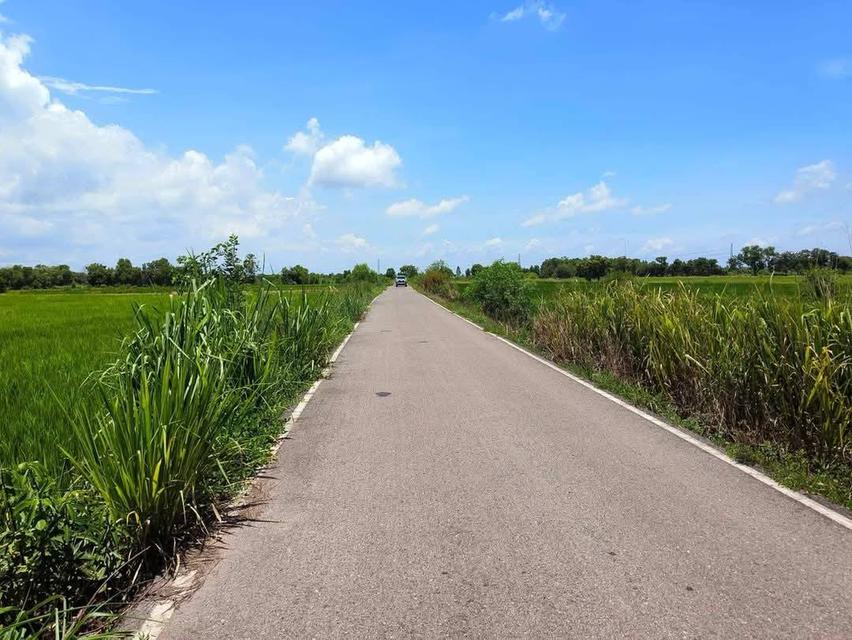 ขายที่ดินเกาะขนุน 1 ไร่ ติดถนนลาดยาง ใกล้ถนนสุวินทวงศ์ทล.319-2กม. อ.พนมสารคาม ฉะเชิงเทรา 5