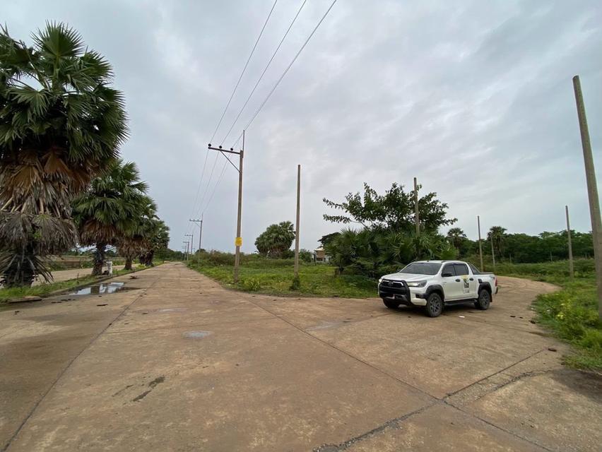 ขายต่ำกว่าประเมินที่ดิน 266 ตรว ติดถนนคอนกรีต ต.บ้านงิ้ว อ.สามโคก จ.ปทุมธานี 9