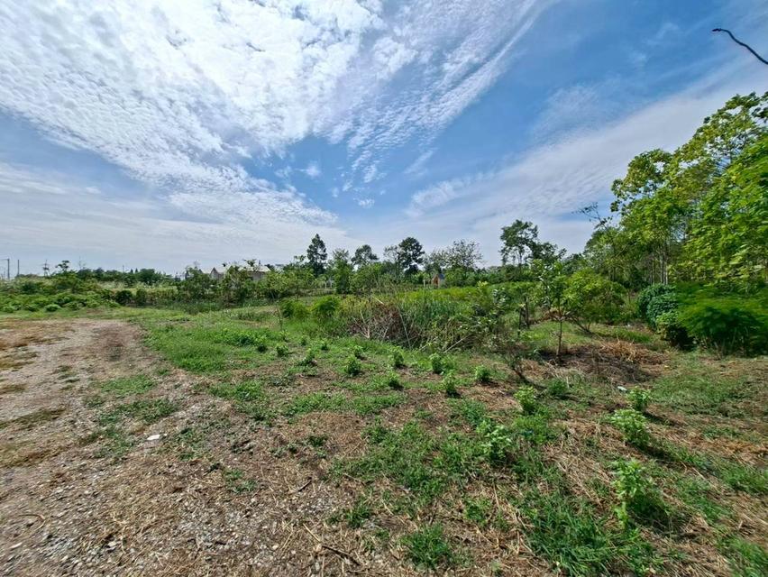 ขายที่ดินเปล่า ถนนเลียบรางรถไฟ ตำบลตลาดน้อย อำเภอบ้านหมอ จังหวัดสระบุรี 4
