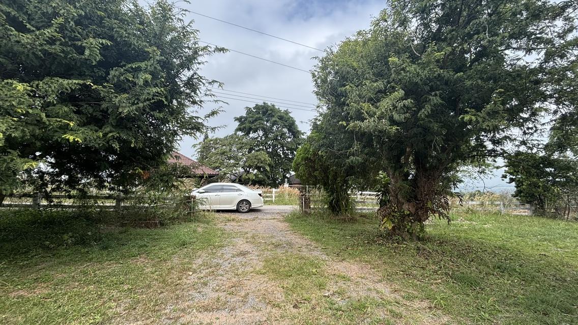 บ้านพร้อมที่ดิน 4 ไร่ 2 งาน 3.2 ล้าน อ.วังน้ำเขียว 3