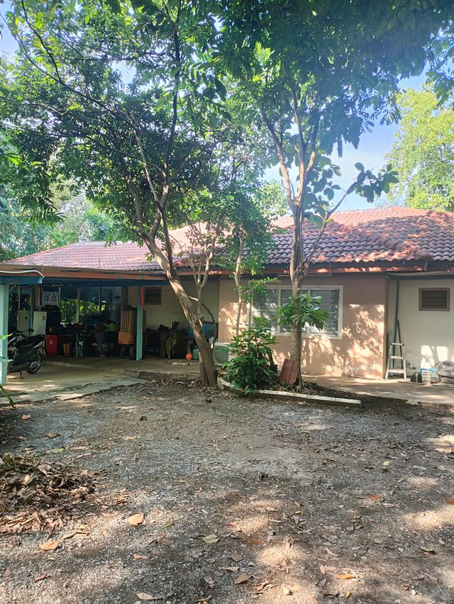 ที่ดิน5 ไร่2 งาน69 ตรว.ฟรีบ้านเดี่ยวชั้นเดียว128 ตรม.1 หลัง 2