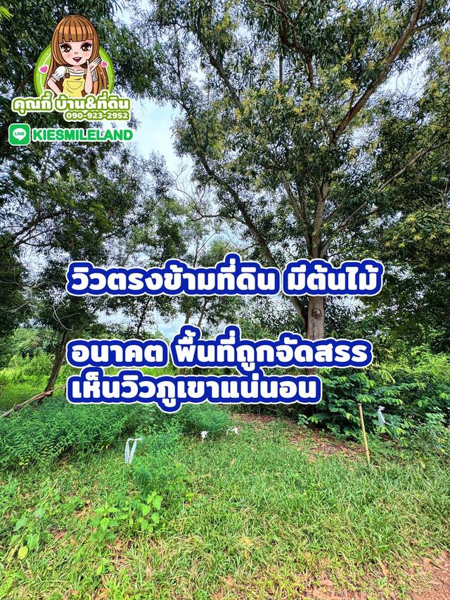 ที่ดิน นครนายก 50 ตารางวา 6