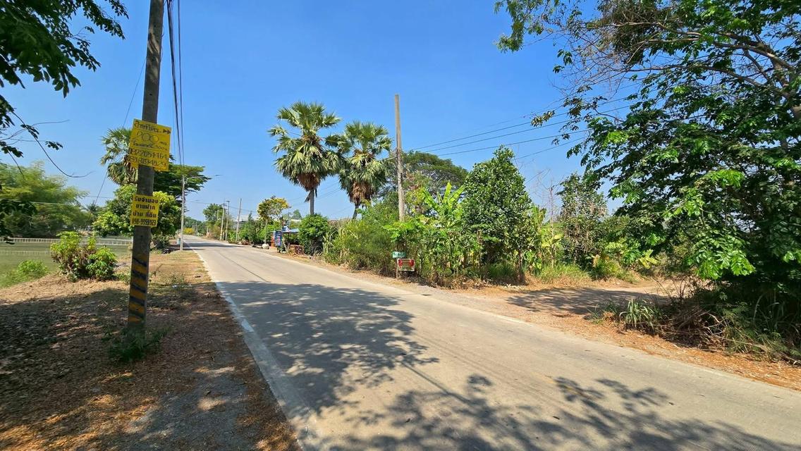 Vายที่ดิน 200 ตารางวา ติดถนนดิน เลียบคลองหก ต.คลองหลวง ปทุมธานี 5