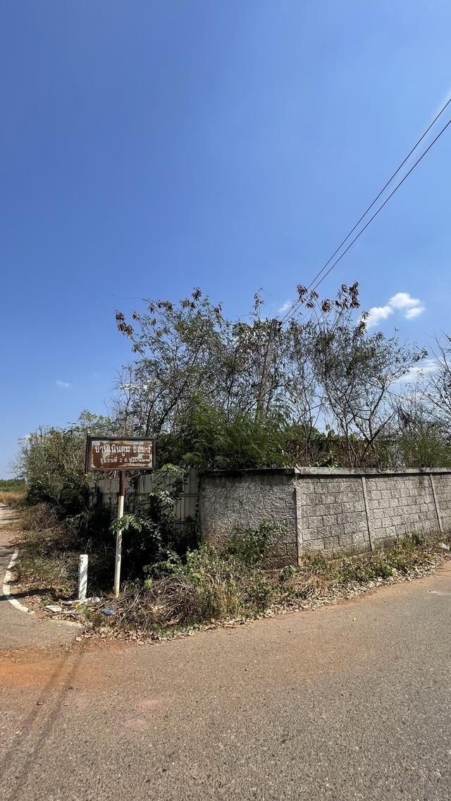 ขายที่ดินพนัสนิคม ชลบุรี พร้อมสิ่งปลูกสร้าง 2-2-20 ไร่ (แปลงมุมติดถนนคอนกรีต 2 ด้าน) 3