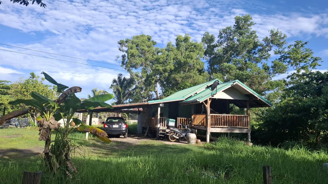 💥คุ้มสุดฯบ้านสวนสองหลังพร้อมที่ดินสองไร่