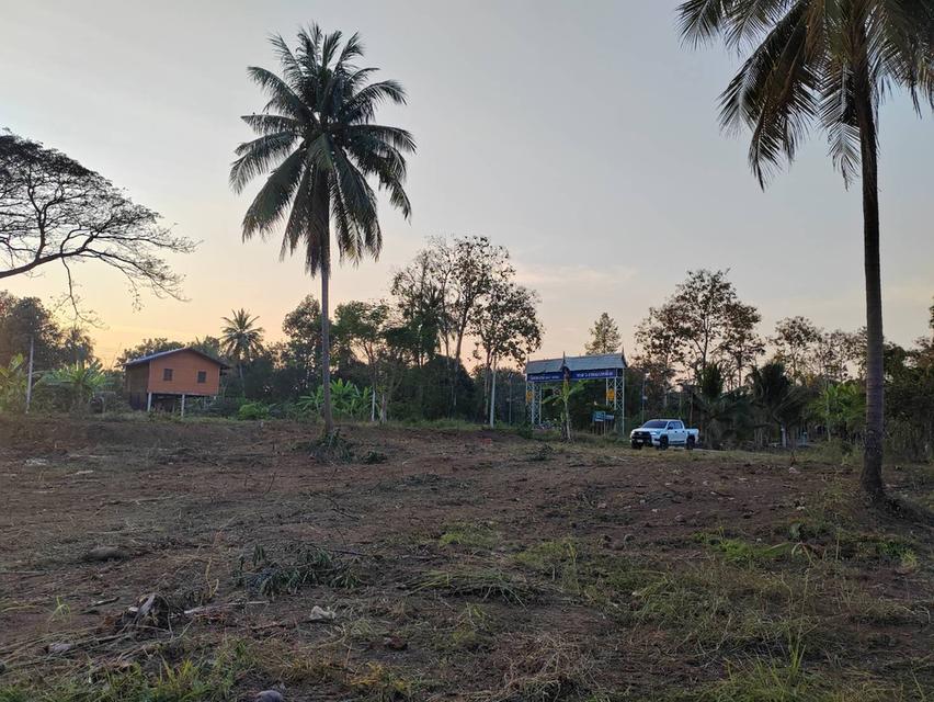 ขายที่ดินหน้ากว้าง รูปทรงชายธง ทำเลดีมาก – ต.ย่านยาว อ.เมือง จ.พิจิตร 3