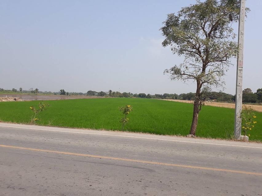 ขายที่ดิน 14 ไร่ 3 งาน 63 ตารางวา ปทุมธานี บางเตย สามโคก ติดสนามยิงปืนราชสีห์ 3