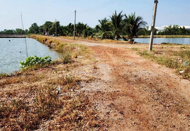 ขายที่ดิน 83 ไร่ ดอนหอยหลอด ตำบลบางจะเกร็ง อำเภอเมือง สมุทรสงคราม 3