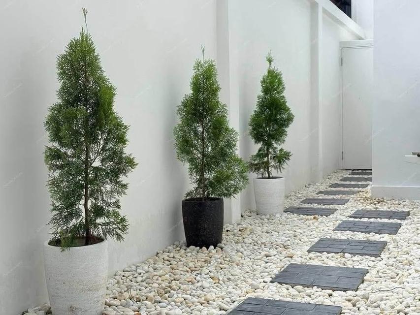 Pool villa for sale Kaomakok Pattaya 8.9 M 11