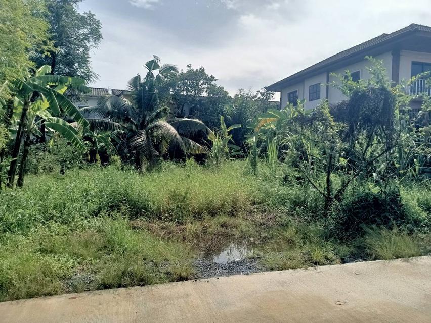 ที่ดินในกรุงเทพเขตหนองจอก 2