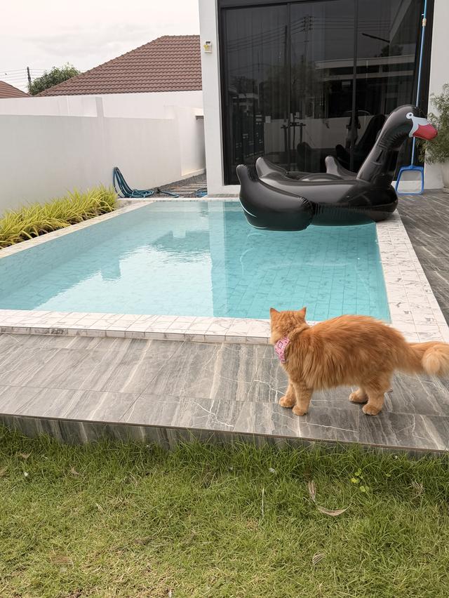 ขายบ้านพลูวิลล่า ในตัวเมืองกาญจนบุรี เจ้าของขายเอง  (มีค่าแนะนำ 2แสนบาท) 2