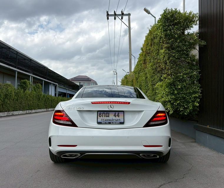 MERCEDES-BENZ SLC300 2.0 AMG DYNAMIC ROADSTER R172 2016 สีขาว ไมล์น้อยสุด รูปที่ 4