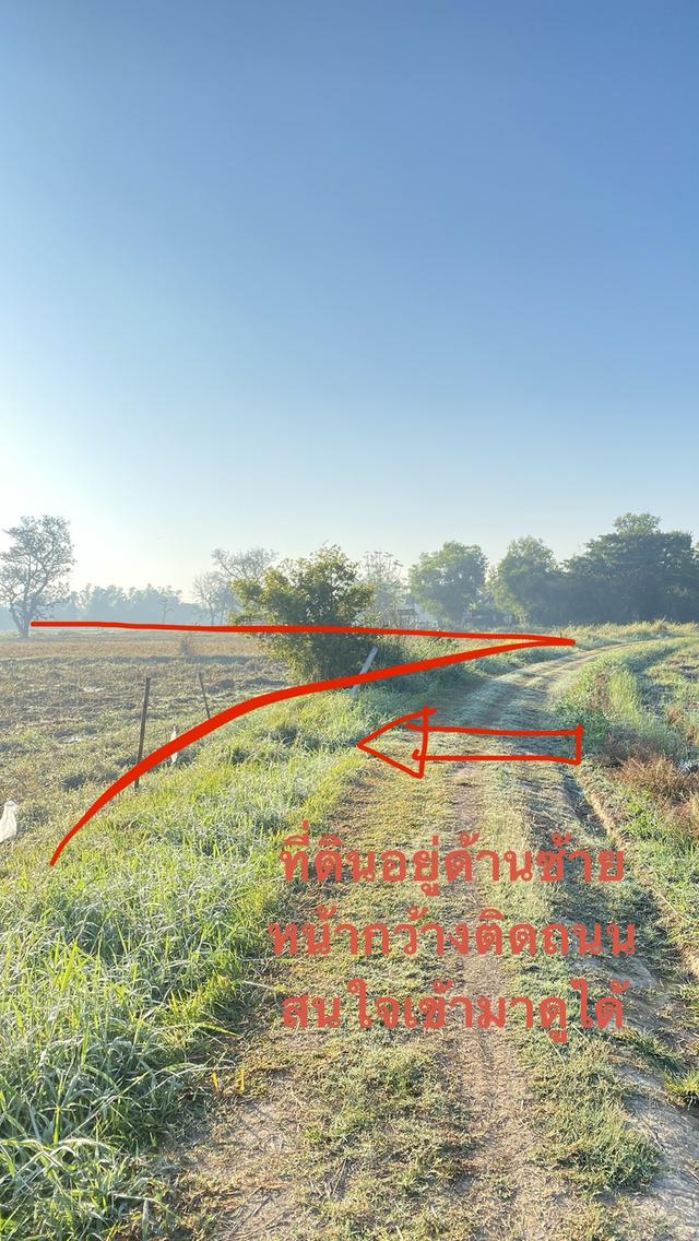 ขายที่ดินในตัวเมืองชัยภูมิ 4ไร่ 2.9ล้าน 4