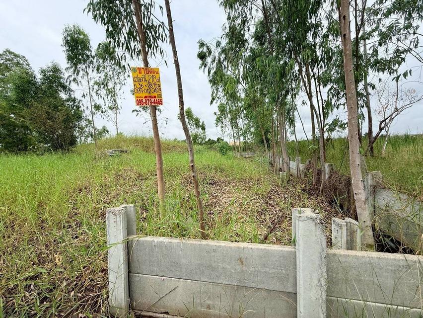 Vายที่ดินใกล้เวิร์คพอยท์ 218 ตารางวา ถมสูงทั้งแปลง ถนนเลียบคลองเปรม  อ.เมืองปทุมธานี จ.ปทุมธานี 6