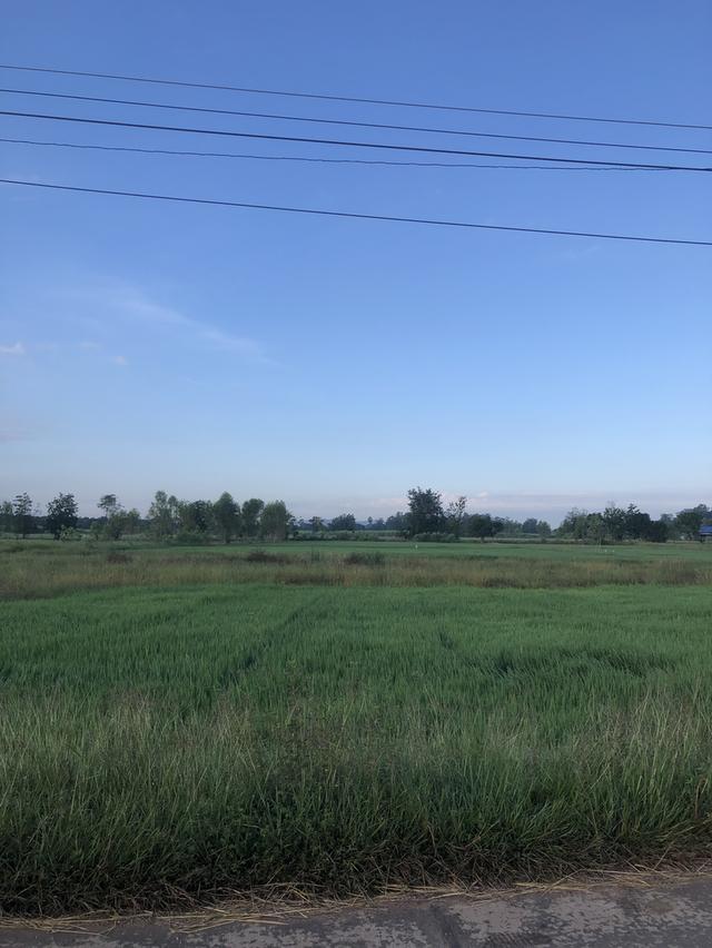 ขายที่ดินของตัวเองค่ะ 5