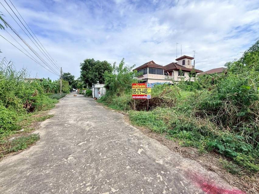 Vายที่ดินใกล้รถไฟฟ้าสายสีชมพู 146 ตารางวา ติดถนนคอนกรีต ถมแล้ว ซอยต้นสน 6 อ.ปากเกร็ด จ.นนทบุรี 7