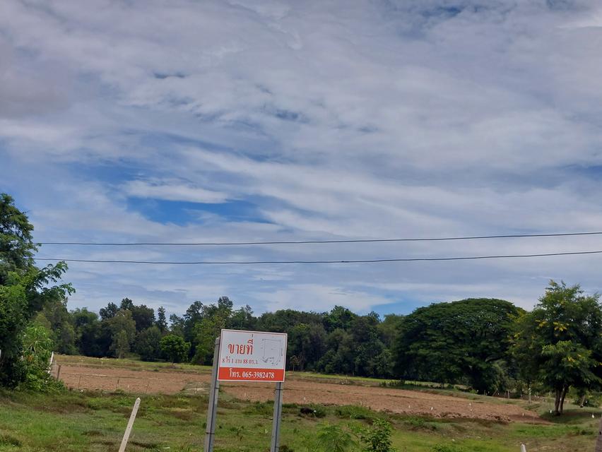 ขายด่วน! ที่ดินสีม่วง 8 ไร่เศษ หนองชุมพล อ.เขาย้อย จ.เพชรบุรี ทำเลสร้างโรงงาน-โกดัง ราคาถูกมาก 3