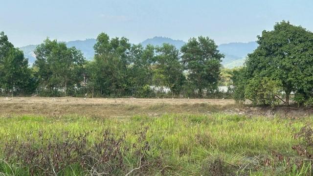 ขายที่ดินเปล่า ขนาด 1 ไร่ ใกล้โรงเรียนเตรียมทหาร ตำบลศรีกะอาง อำเภอบ้านนา จังหวัดนครนายก 5