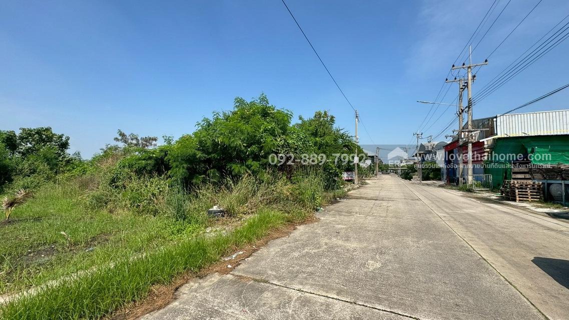 ขายที่ดิน ถนนโคกขาม สมุทรสาคร แปลงสวย พื้นที่ 200 ตรว. ราคาถูก ใกล้อบต.โคกขาม เหมาะลงทุน 7