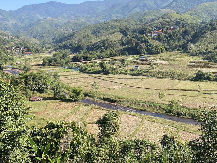 ขายที่ดินพร้อมวิวธรรมชาติ อากาศเย็นตลอดทั้งปี 5