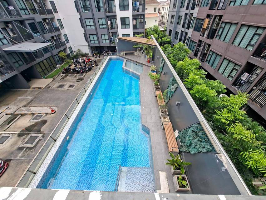 ขายด่วนแมกซ์ซิ คอนโด รัชโยธิน-พหล 34 วิวสวย ชั้น 4 ใกล้ ม.เกษตรศาสตร์ (N.2298) 2