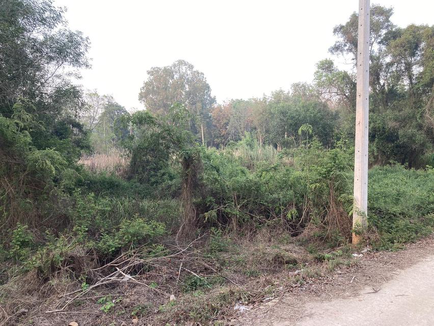 ขาย ที่ดิน ทำเล ตำบลท่าถ่าน พนมสารคาม ฉะเชิงเทรา 4