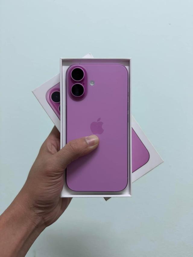 iPhone 16 Color Pink 