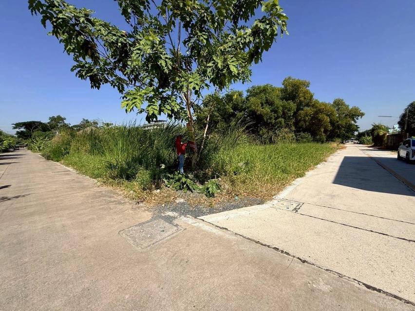 Vายด่วน ที่ดินใกล้มอเตอร์เวย์ 80 ตารางวา แปลงมุม ติดถนนคอนกรีตสาธารณะ ซอยคลองสี่ 6 อ.คลองหลวง จ.ปทุมธานี 7