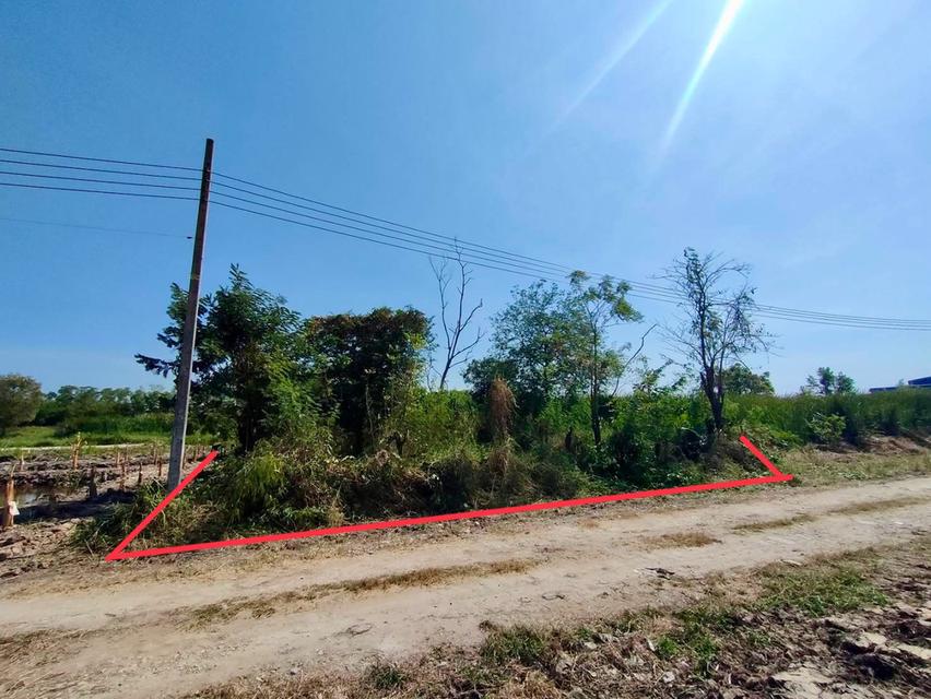 ขายที่ดินเนื้อที่ 106 ตรว. (ถมแล้ว) - ห่างจากถนน คู้-คลองสิบ ฝั่งเหนือ 50 เมตร - ห่างจากแยกลำหิน 700 เมตร - มีถนนสาธารณะกว้าง 8 เมตร มีไฟฟ้าผ่าน..... 5